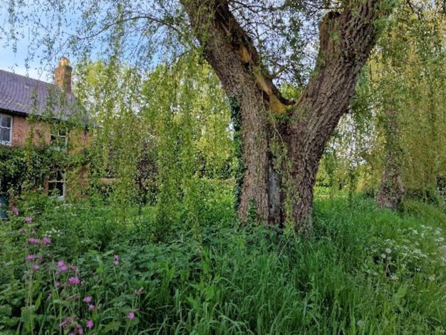 Piddle Puddle Cabin Дорчестер Экстерьер фото